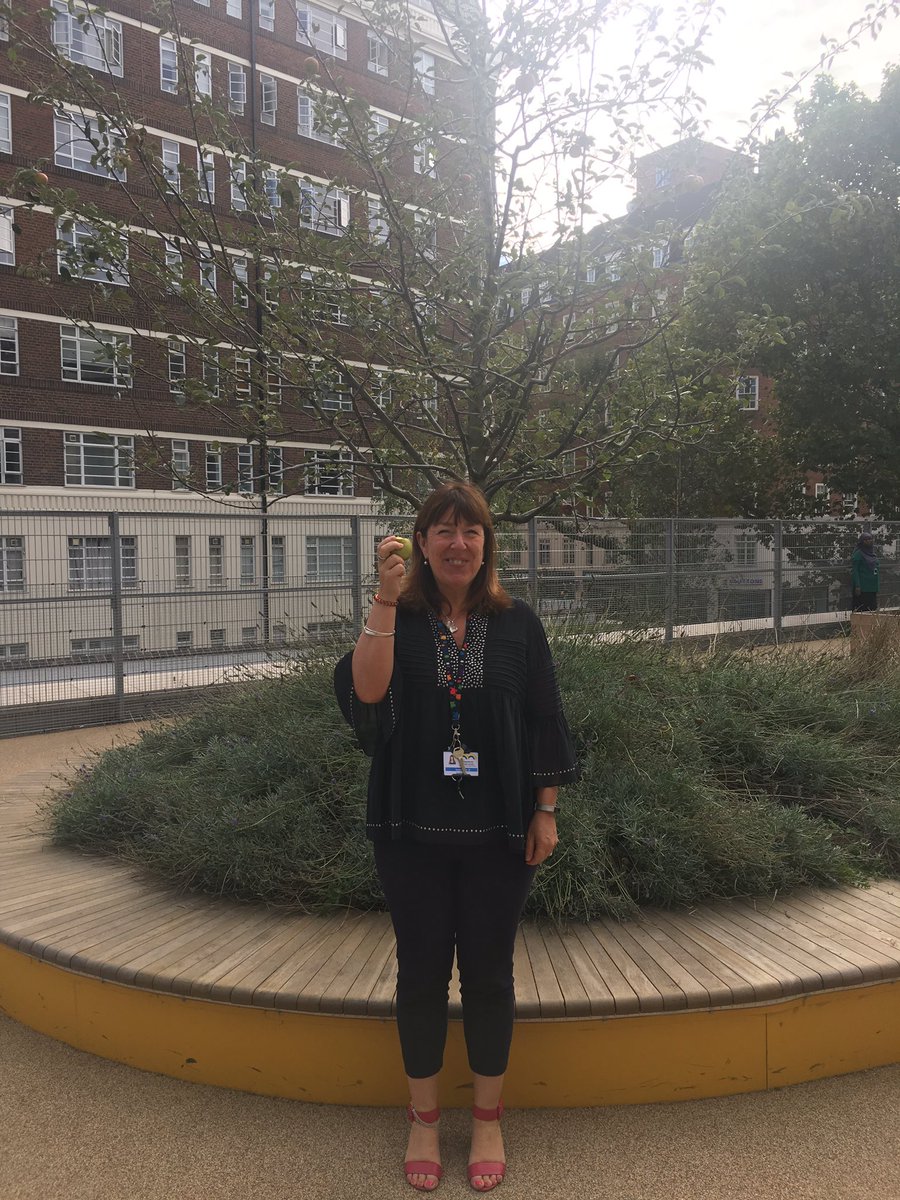 head_part's tweet photo. Headteacher perk - an apple from our own tree. Truly delicious!! https://t.co/uSEOeqCtX5