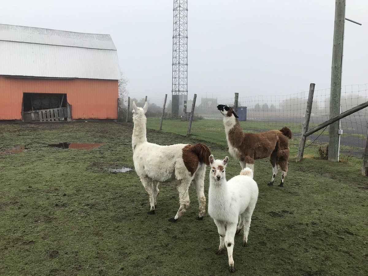 missfish's tweet photo. Made a few new friends today at #FCC18! https://t.co/B8BXLikls7