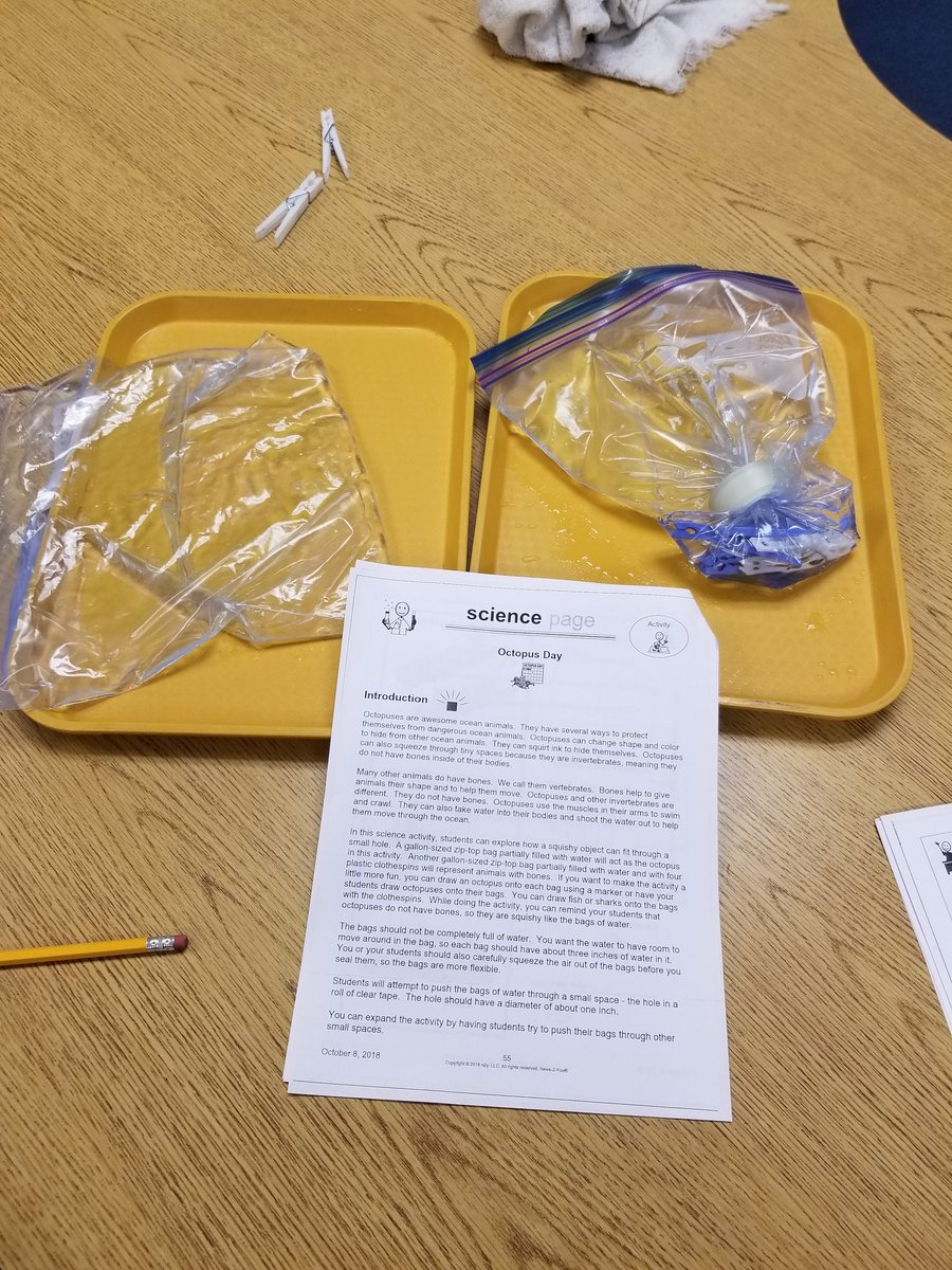 MelissaBiermann's tweet photo. After reading about Octopuses this week. We did an experiment to see if animals with bones can fit through small spaces like the octopus can. #essdexcels #esmsbestyearever https://t.co/T4l38DwRUB