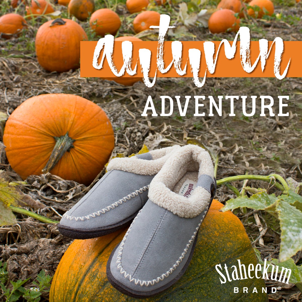 staheekum's tweet image. Amplify your fall plans with our Autumn Adventure playlist on Spotify🎃

spoti.fi/2RKAlf1
#staheekum #fallplaylist #getoutside #autumn
