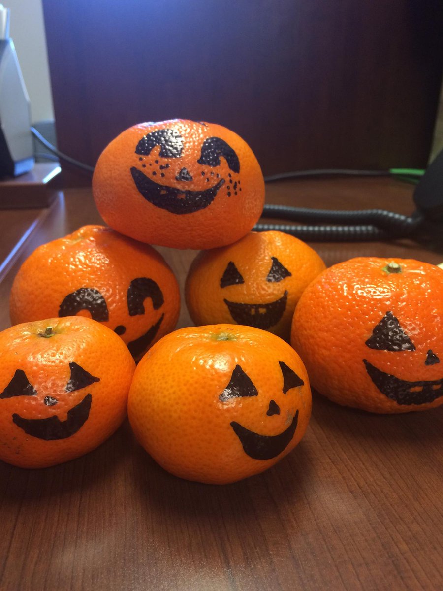 Lipscomb Online tweet media