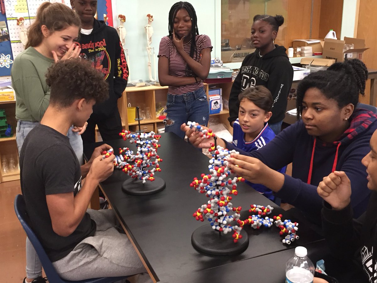 MalverneSTEM's tweet photo. Building DNA models in PLTW Biomed. #gomules #malverneufsd https://t.co/SMp6jeTEwM