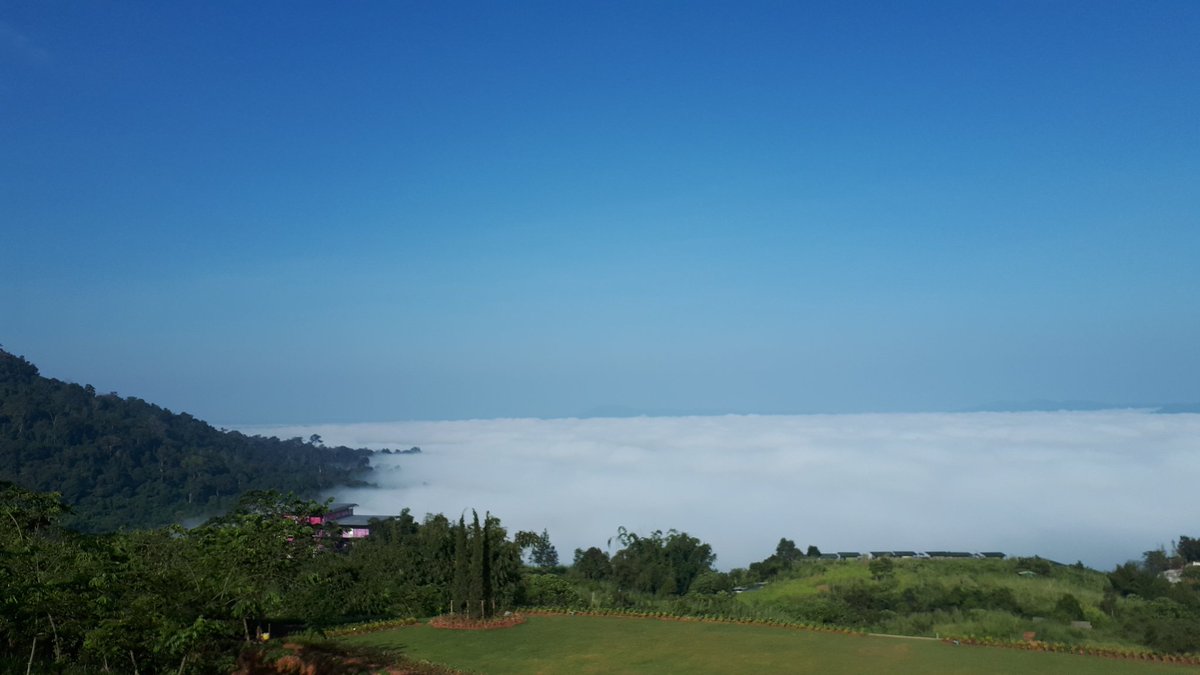 oraice_ssk9's tweet photo. ที่เขาค้อ #icetravel #Travel #Nature #เพชรบูรณ์ #เขาค้อ #หมอก https://t.co/vrcwsRQtjM