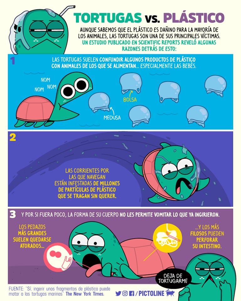 Si tienes dudas sobre a donde va tu #basura, las tortugas te lo pueden decir. 
#planetaoplastico #MedioAmbiente
#basuramarina