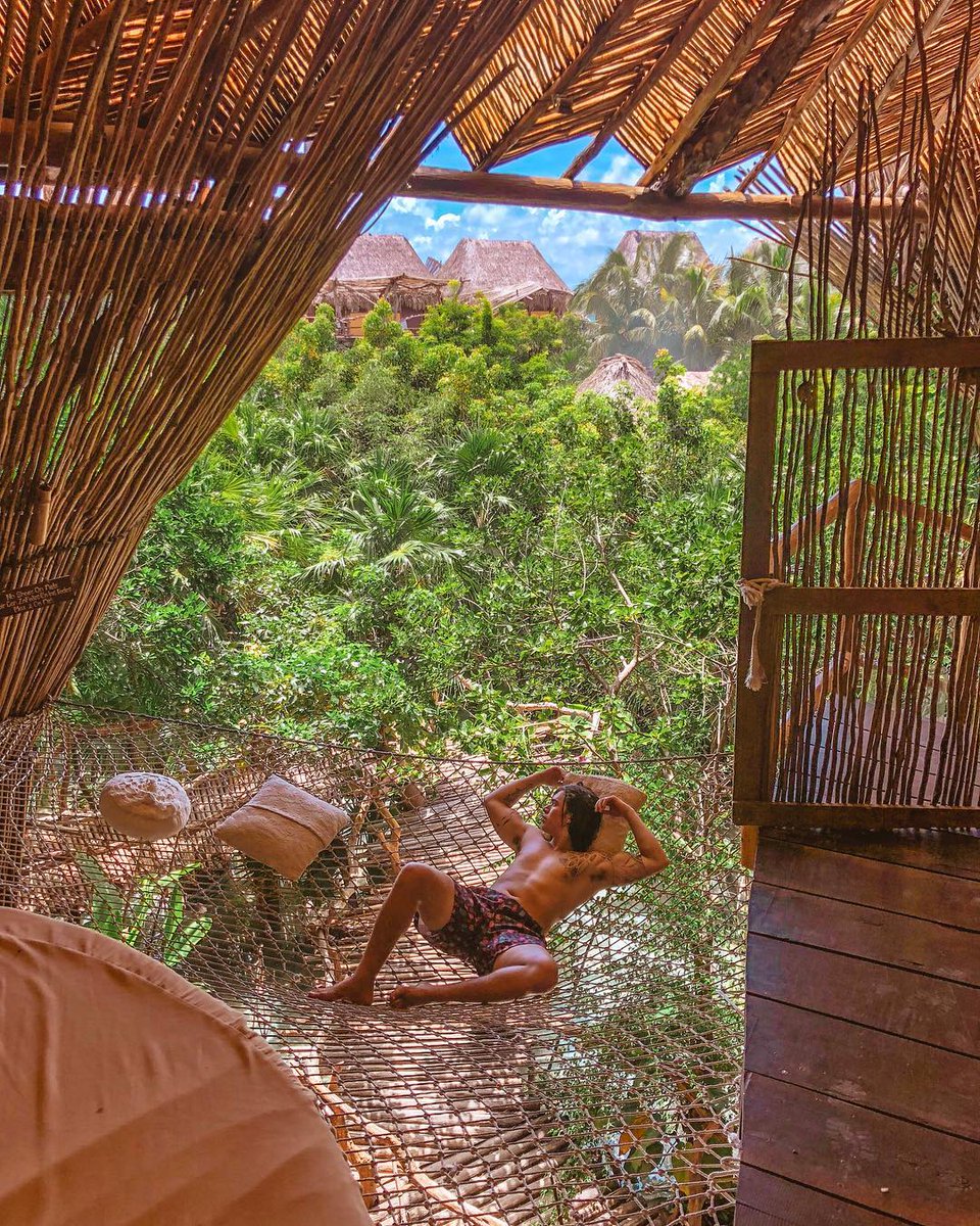 Azulikofficial's tweet photo. “Travel brings power and love back into your life.” – Rumi
.
.
#azulik #azuliktulum #nature #trees #treehouse #caribbean #tulum #tulummexico #mexico #jungle #architecture #azuliktribe #iklabtulum #iklab #repost 📸 @whinderssonnunes https://t.co/3LKqLg5epz