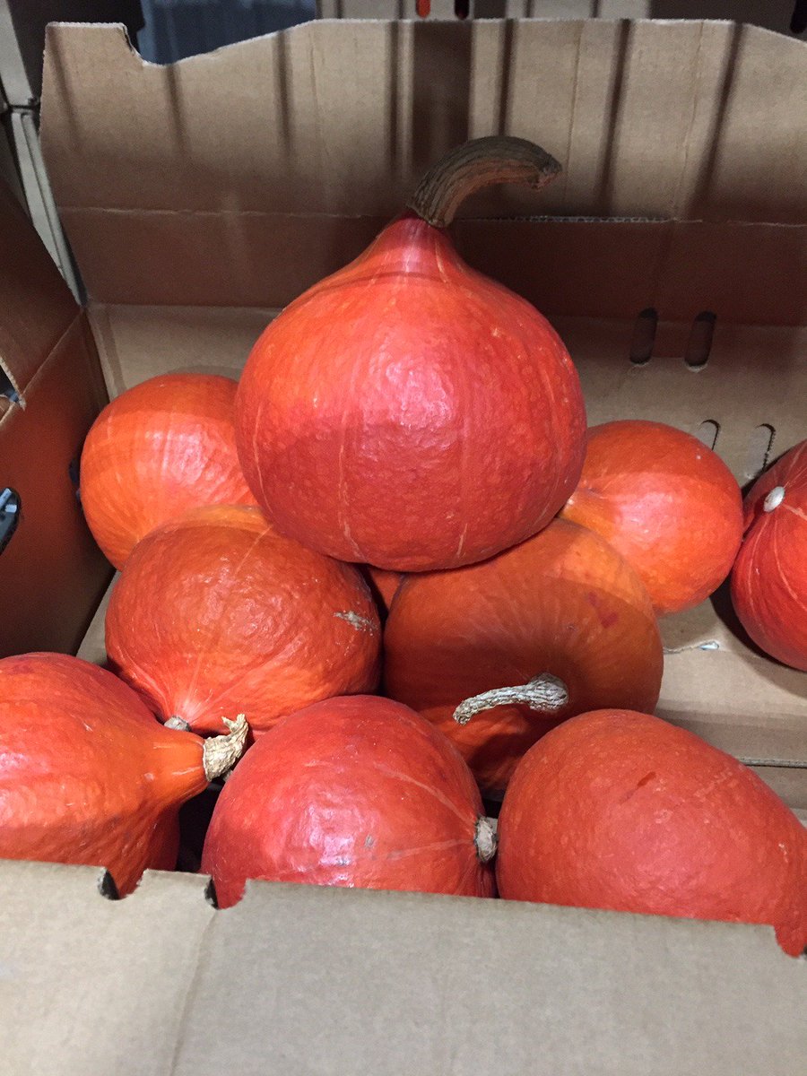 syscoyeg's tweet image. Tis' the season!! Sysco Edmonton now has Red Kuri Squash in stock and ready to ship! code to order 4051476