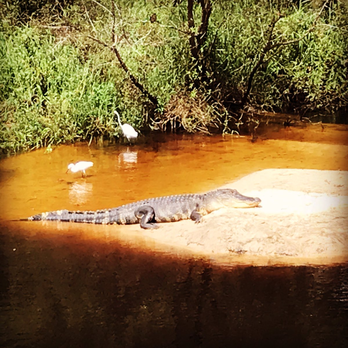 One of the most important ecological systems we and nature have is our WATER! We need to realize that everything that goes into our water goes back into our ocean to turn into rain and start the water circle again. So my question is do you know where the rain in Montana, ends up?