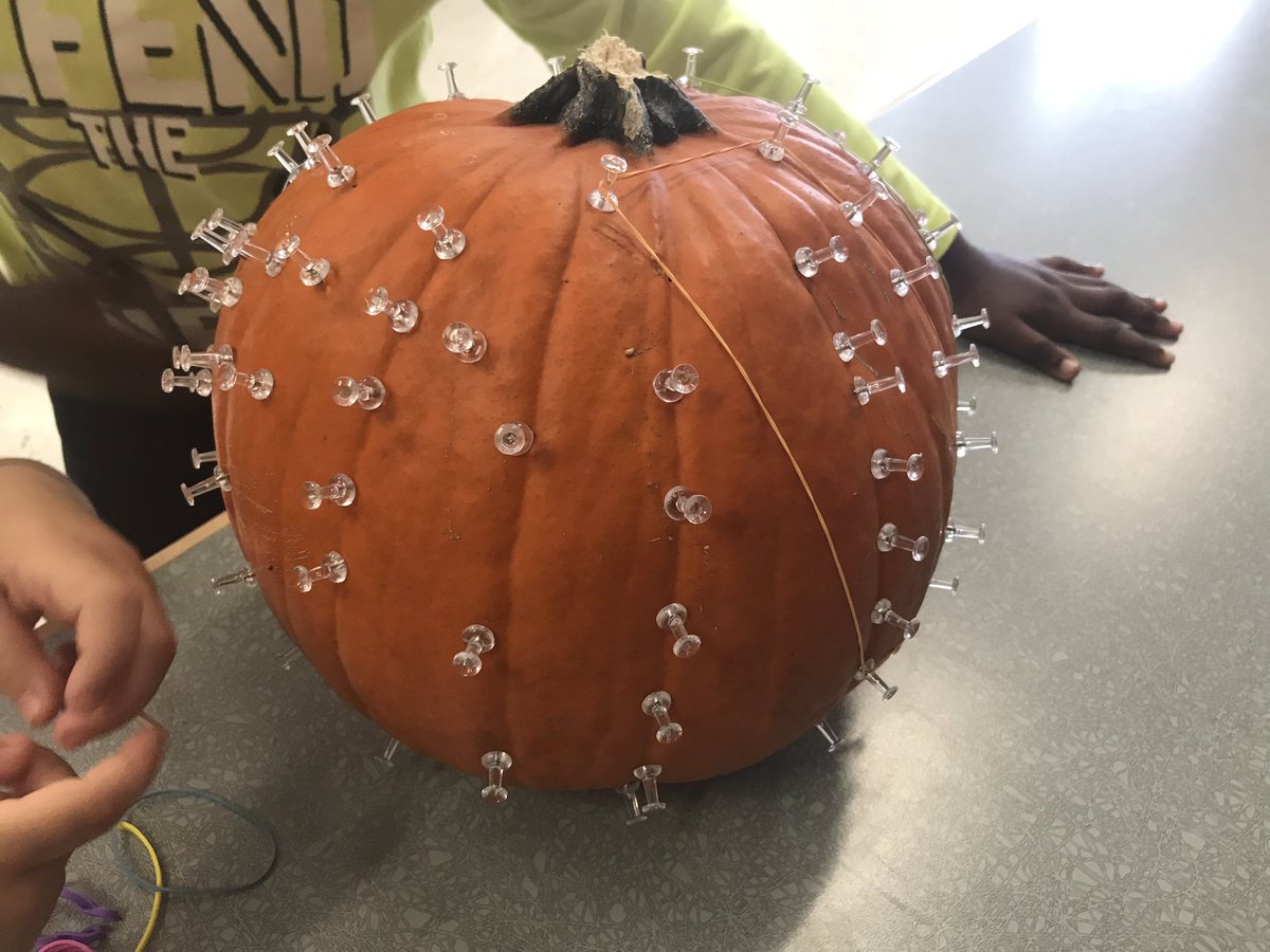 mslupoteaches's tweet photo. Using a pumpkin as a geoboard is always a good idea! Kids are loving this math centre! Thanks @MsHennebury for the idea! #teamteaching #gandymath @GandyHappenings @DDSBEarlyYears https://t.co/PsGTDvNlo6
