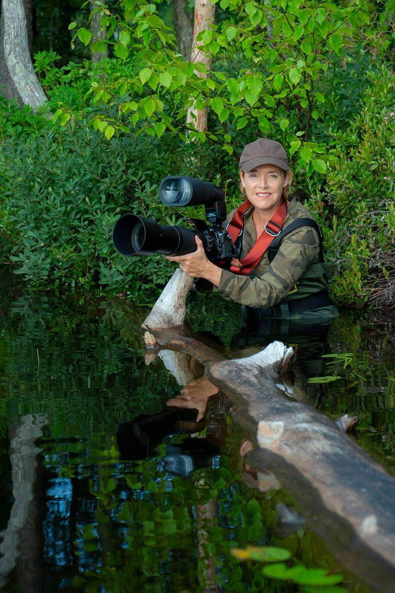 Héritage St-Bernard tweet media