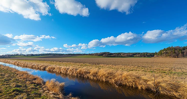 BTLLinersOR's tweet photo. Learn how to prevent water loss with irrigation liners: https://t.co/osP0mHPFIq #qualitycustomerservice #btlliners #covers #liners #tarps #uvresistant #punctureresistant #bestliners https://t.co/5DZnYTKvSB