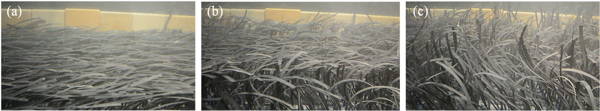 Did you know benthic roughness (e.g. #coral and #seagrass) generate currents?! Check out our paper to know more about this fascinating mechanism and its significant impact on #residencetime of e.g. #sediment, #pollen, #seeds: agupubs.onlinelibrary.wiley.com/doi/full/10.10… 
@CoralCoE <a href="/UWAEMS/">UWA Eng & Math Sci</a> <a href="/uwaoceans/">UWA Oceans Institute</a>