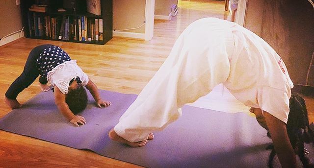 Ladyfree0331's tweet photo. My mini yogis! #yoga #downwarddog #yogi #startthemyoung #namaste https://t.co/A6nT1HbgTV https://t.co/mBSlkeNbjM