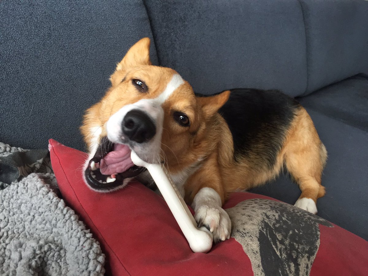 Mine
