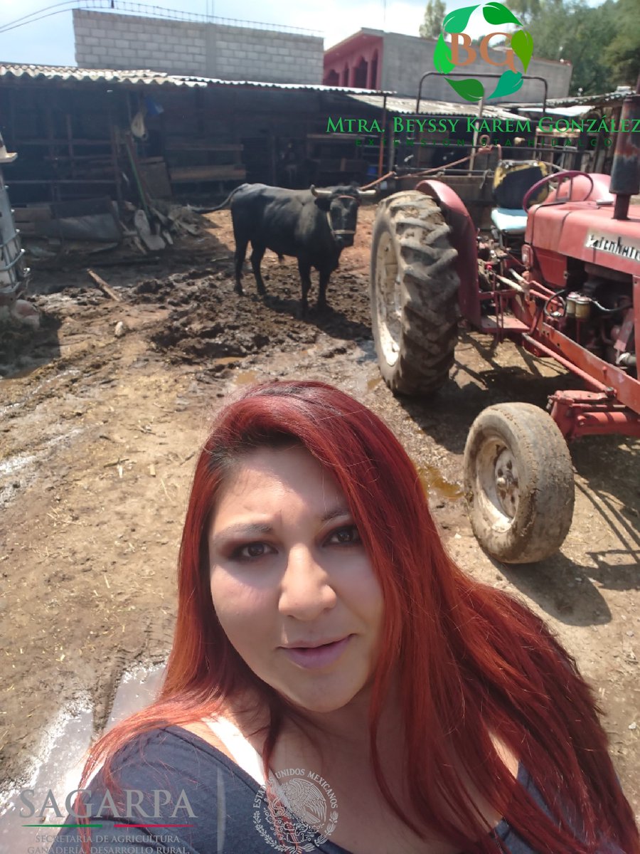 BeyssyKarem's tweet photo. En supervision y seguimiento del proyecto el rancho #FAPPA2018 #Tetepango @ExtensionismoMx @SAGARPA_mx  @SagarpaHgo @CNC_CEN https://t.co/JLESSXHVdS
