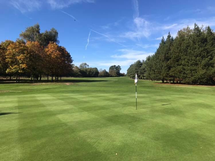 Mark Romasiuk - EG CSO tweet media