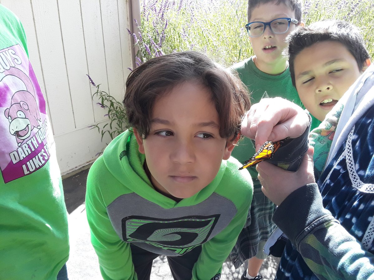 Butterfly's are free. <a href="/MViTElementary/">Mountain View</a> <a href="/HatlandLeslie/">Leslie Hatland</a> @