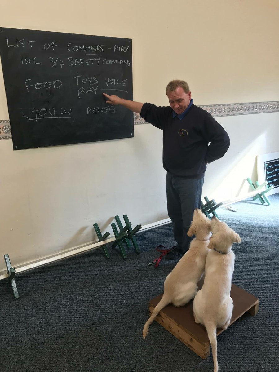 ABCDog_Training's tweet photo. Who said dogs canโt read ๐#DogsofTwittter #dogschool #dogclass https://t.co/cogwvDYzhV