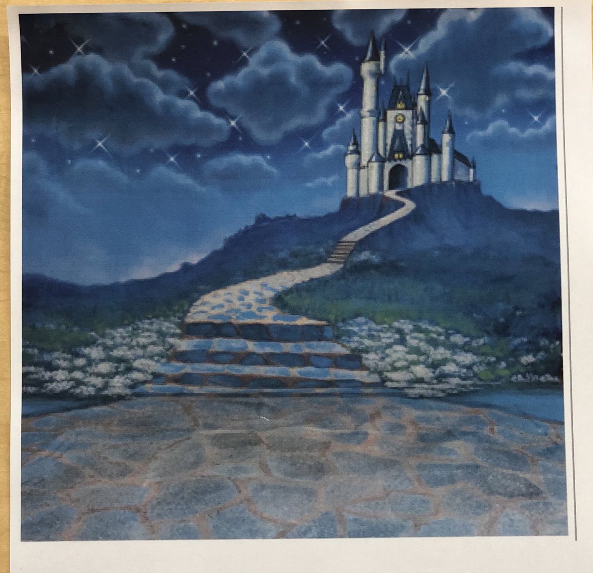 CoalingaHS's tweet image. Sadie’s backdrop !!! 🏰💕 #disneytheme