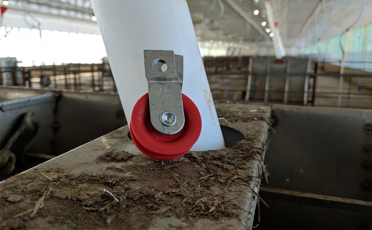 qcsupply's tweet photo. Used with livestock curtains, broiler and breeder houses, the Beesley International 1-7/8" Split Strap Pulley includes a fiberglass and nylon pulley anchored with corrosion-resistant galvanized straps.

Learn more about it here:https://t.co/6QYUMoI5Pr https://t.co/3oj0Ahd9GQ