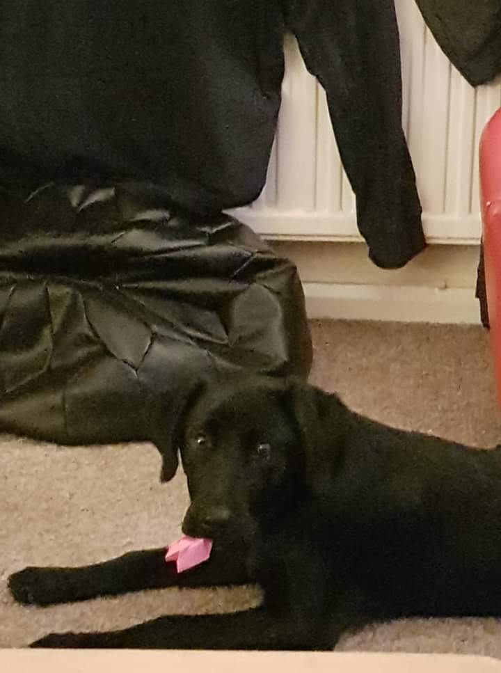 valda27's tweet photo. @wrexham.@oldandfeelit MISSING 24 HOURS ERDDIG AREA PLS RT https://t.co/ebJufLvtFB https://t.co/kuk7QyBdef