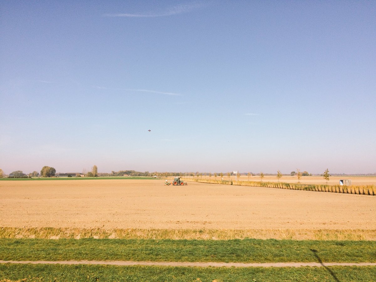 Dit is de Damsterdelta. Ook woestijn behoort tot de mogelijkheden.