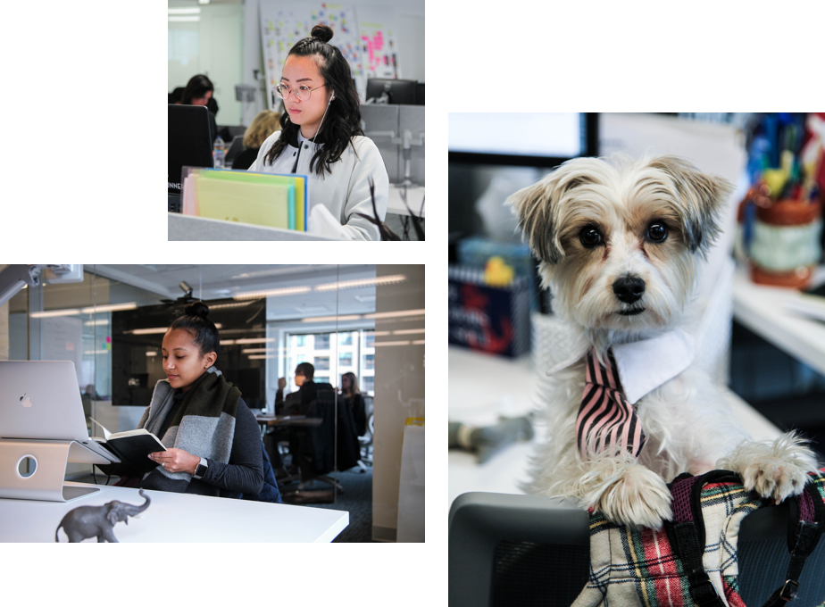 Technical_ly's tweet photo. With people in offices in Chicago and Conshohocken, @ShopRunner's perpetrators of good vibes and great experiences for our customers, our merchants and each other, https://t.co/RFeXKMoTas. Meet them IRL at #networkburbs18 10/16 from 5-7pm in Paoli, RSVP: https://t.co/CFEgt6z4HG https://t.co/Xp3jfhTnz9