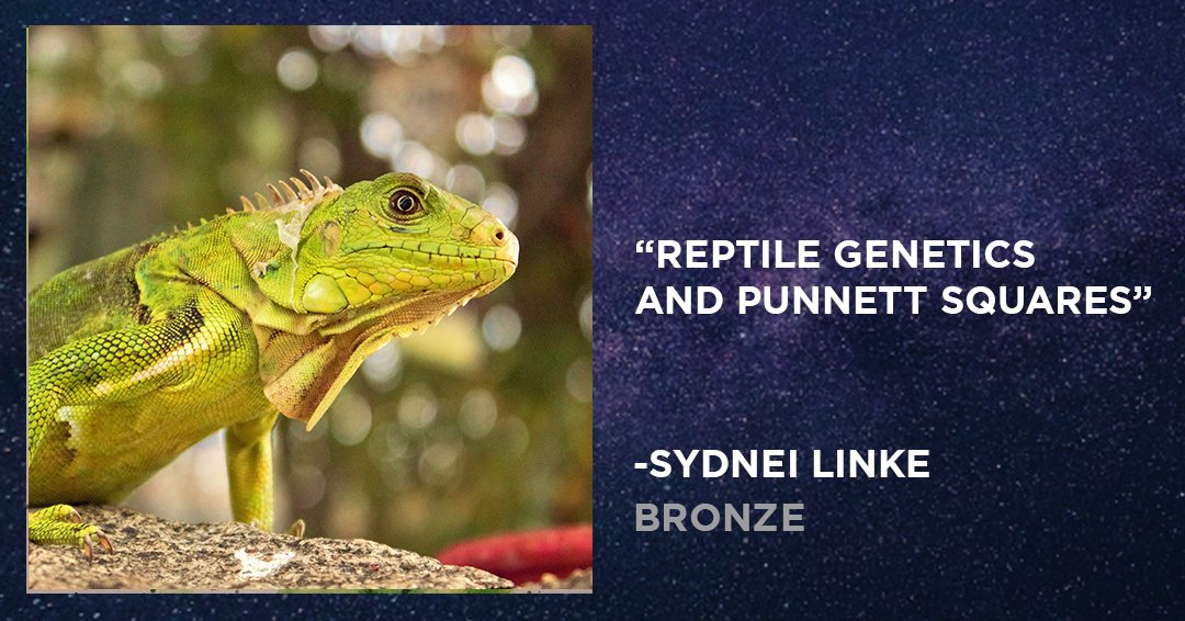 Check out our super talented winners and their amazing projects🙌 #ImpossibleScienceStudentChallenge #STEM <a href="/ananyachdh/">Ananya Chadha</a> projectboard.engineering.com/project/imposs…