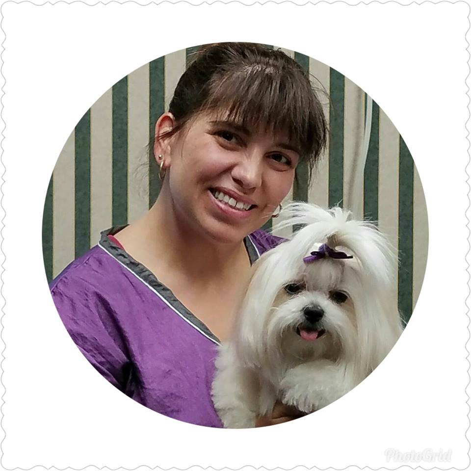 designer dogs pet grooming