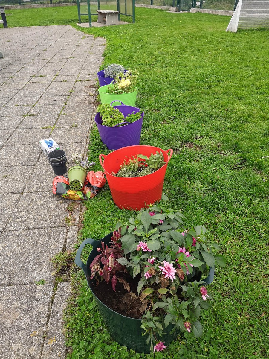 pavilion_ward's tweet photo. Our new OTA @chloeepearce facilitating some great group activities on the ward. Our Service leaders garden is really starting to look amazing, a space that we can all create together 🌳🌼 https://t.co/DcgesQy0CS