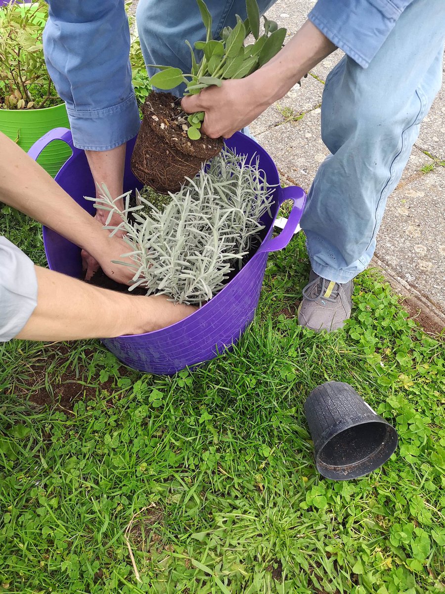pavilion_ward's tweet photo. Our new OTA @chloeepearce facilitating some great group activities on the ward. Our Service leaders garden is really starting to look amazing, a space that we can all create together 🌳🌼 https://t.co/DcgesQy0CS