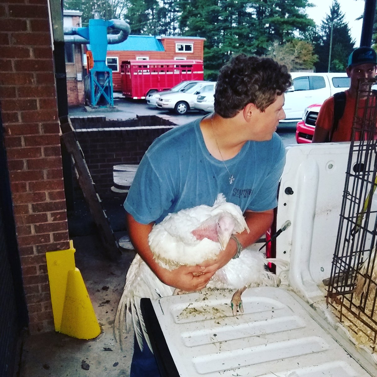 forbush_ffa's tweet photo. Loading Turkeys to take to the NC State Fair to show at the Youth Market Turkey Show on Friday https://t.co/C2k3yJbrLW
