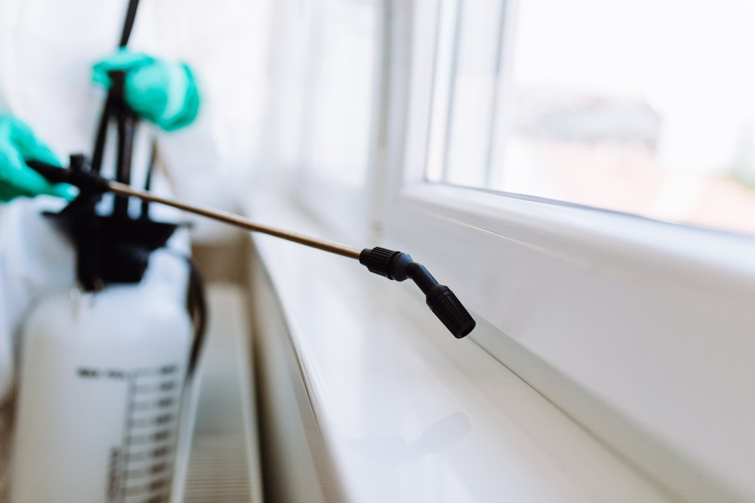 ProvidencePest's tweet photo. Pest control is something that no one really wants to deal with. That's why Providence Pest Control makes it easy &amp; affordable to have a pest-free home! #pestcontro https://t.co/pjGOUZX5mi