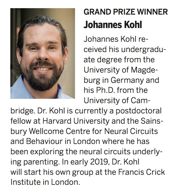 Catherine Dulac (@dulaclab) on Twitter photo Congratulations to @jonnykohl, postdoc in the lab and this year Eppendorf and @sciencemagazine Grand Prize Winner in Neurobiology! Awesome assay, and awesome work on circuits of parenting! And best wishes for your new lab and new projects at <a href="/TheCrick/">The Francis Crick Institute</a>!
…encemag.org.ezp-prod1.hul.harvard.edu/content/362/64… Congratulations to @jonnykohl, postdoc in the lab and this year Eppendorf and @sciencemagazine Grand Prize Winner in Neurobiology! Awesome assay, and awesome work on circuits of parenting! And best wishes for your new lab and new projects at <a href="/TheCrick/">The Francis Crick Institute</a>!
…encemag.org.ezp-prod1.hul.harvard.edu/content/362/64…
