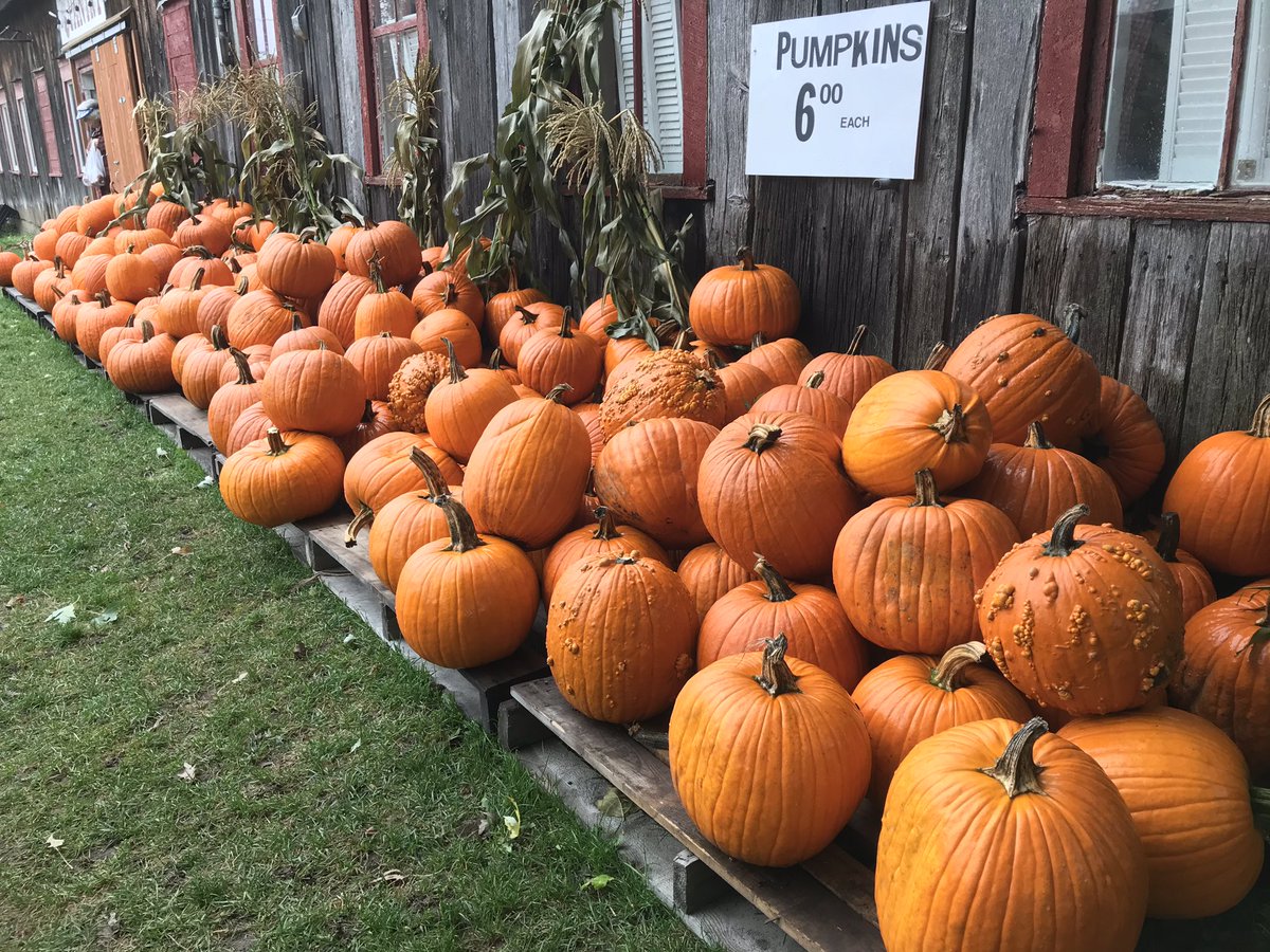 missfish's tweet photo. Heading home after a fabulous day as a guest of @FarmFoodCareON! We toured two #Ontario farms, met some great people, had an amazing lunch, and learned so much along the way. Thanks for having me! 🐔🍎🍓🍽 #ffc18 https://t.co/EtNYwolhBf