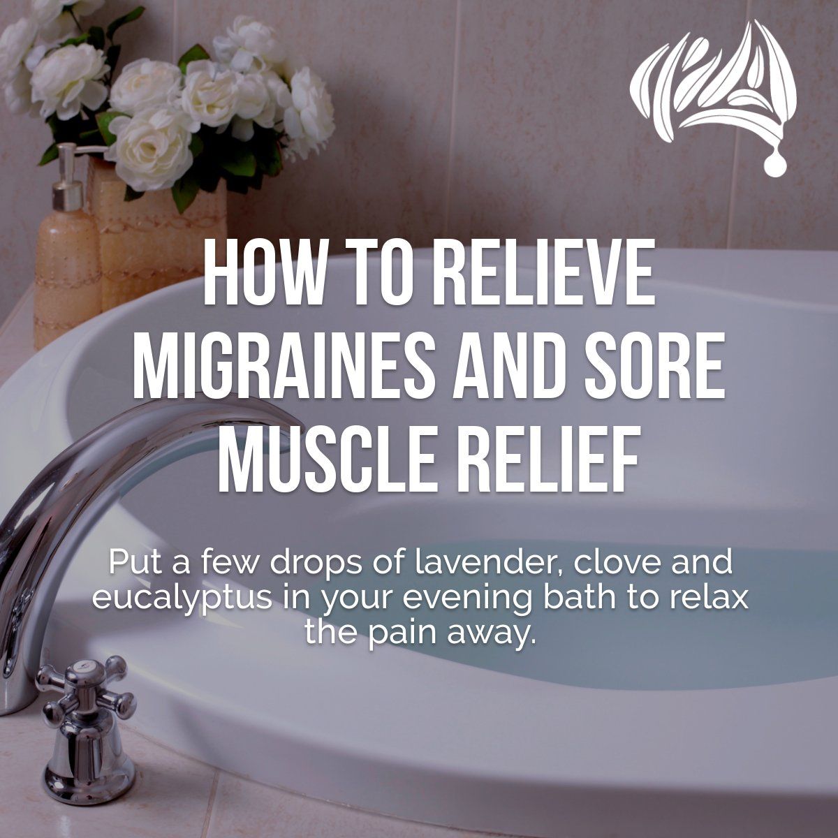 AusEucalyptus's tweet photo. Migraines? Muscle Soreness? There's an oil for that!
Just put some lavender, clove, and eucalyptus in a bath and relax the pain away. Read the full story of how one of our customers uses this method: https://t.co/sNyew1sOlL
.
#eucalyptusoil #essentialoil #essentialoils https://t.co/U1b49fPHCn