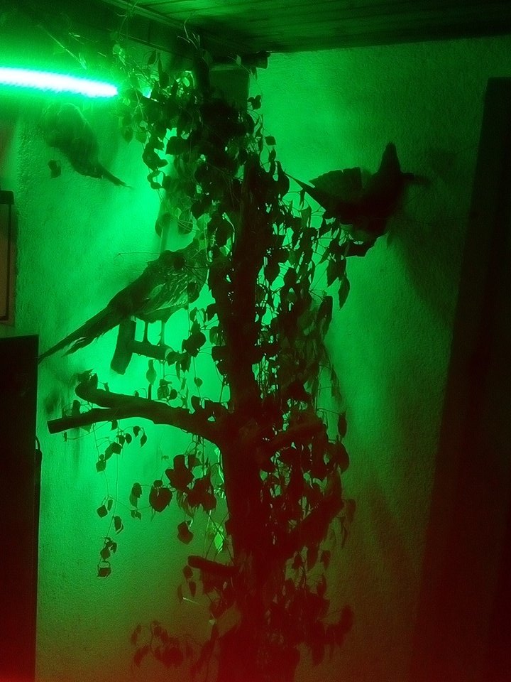 Office in night