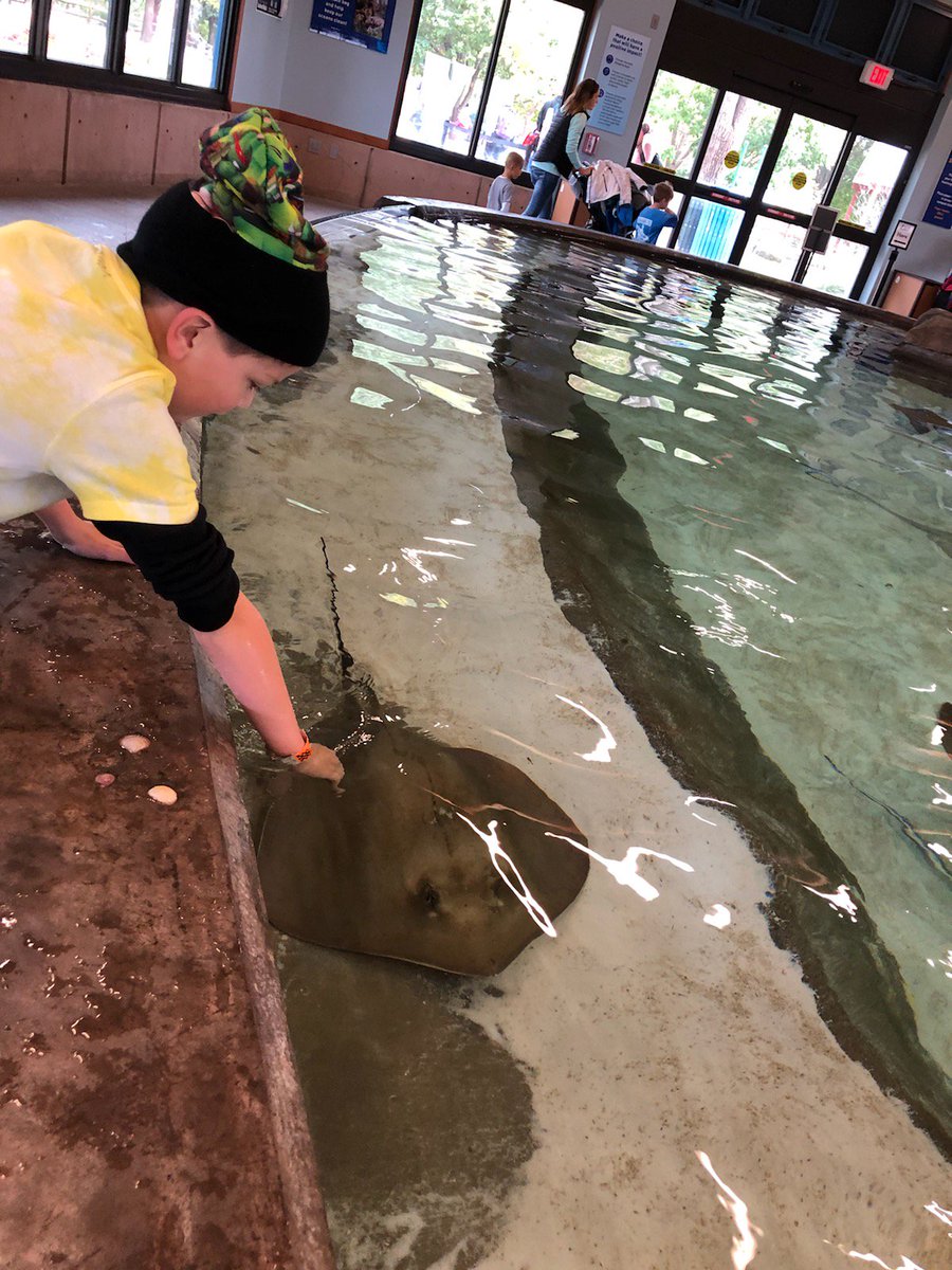 Riverview Elementary tweet media