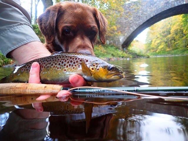 Marryat Rods tweet media