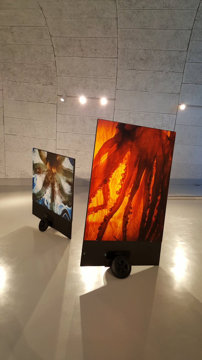 "Poulpe Fiction"
Artiste, photographe aux origines marseillaises, Mathilde de l’Ecotais revient en ville avec une installation sur mesure pour le MaMo
8 photos d’octopus en grands formats découvertes ce soir autour d'accords huîtres &amp; whisky, salade de poulpe &amp; vin orange 🐙🥂😍
