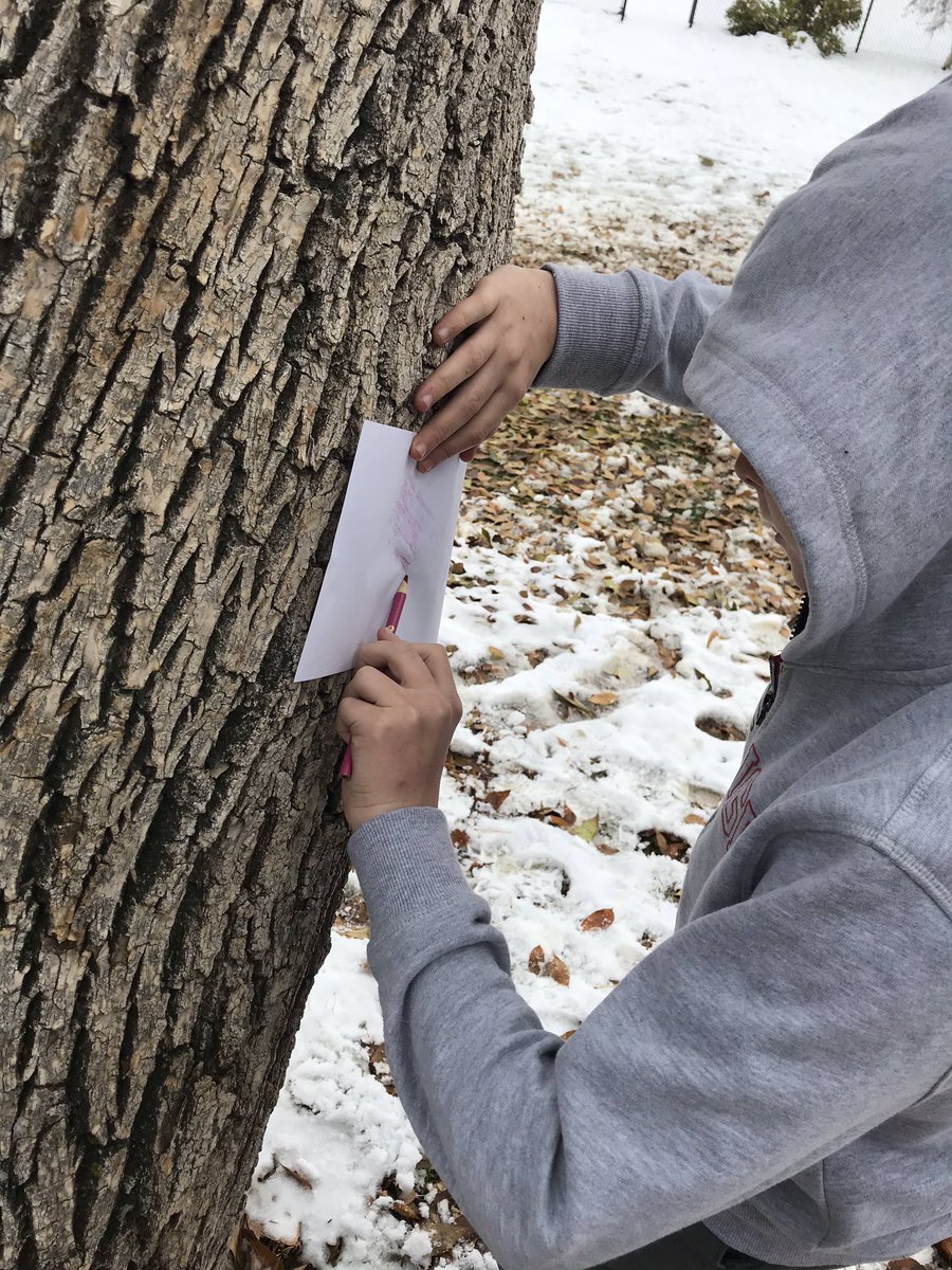 Bark rubbings #treesandforest #bark #grade6 #science