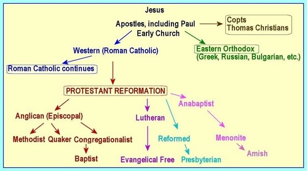 Catholic Vs Presbyterian Chart