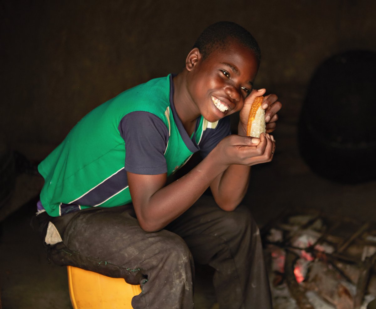 Today is #WorldSightDay. Did you know the <a href="/WHO/">World Health Organization (WHO)</a> reports that 80% of vision impairment globally is avoidable? 
Vitamin A maize has been proven to improve night vision - a crucial and accessible intervention for rural children suffering from malnutrition.