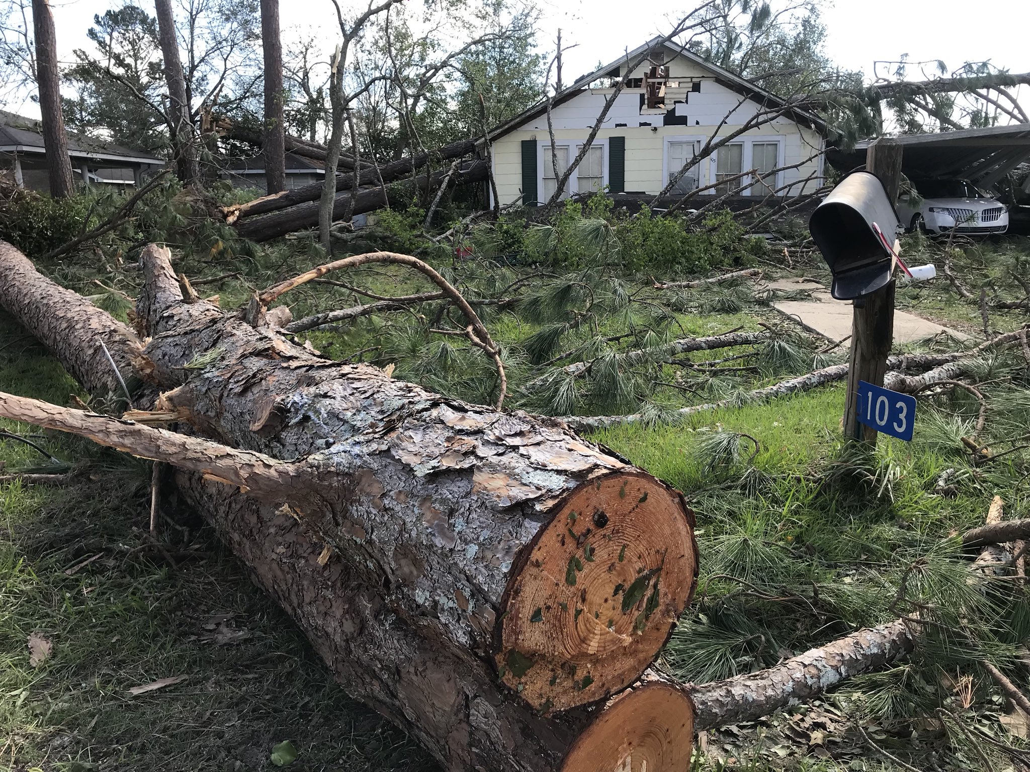 Allyson Henning on Twitter: "#HurricaneMichael damage is widespread in