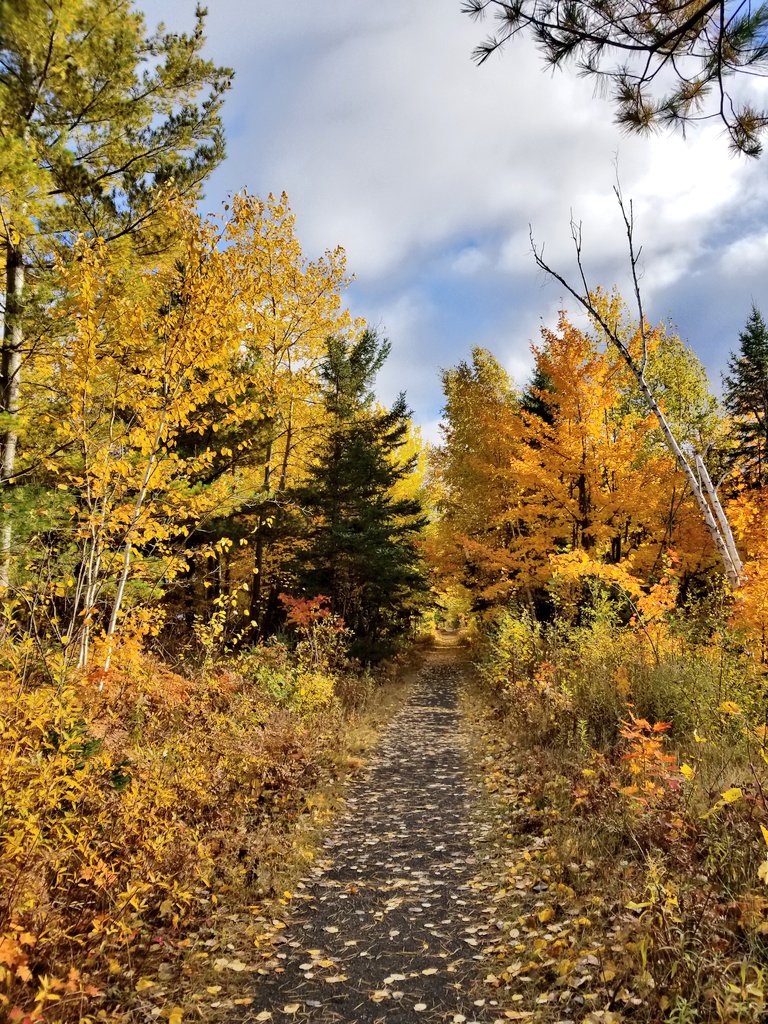 UPTreefarmer's tweet photo. Running the rail trail and US 41 from #DecompressU #Airbnb #Chassell #RusticCabinwithSauna https://t.co/2pBs8KMkqY #RoomNearMichiganTech https://t.co/4yUqm3T2dx #running #fallcolors2018 #FallFoliage2018 https://t.co/jPlk8gOVfB