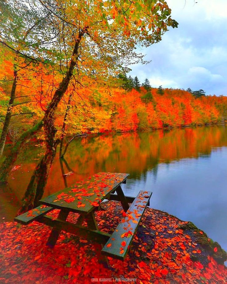 .

"어느 아가씨가 공원벤치에 앉아 해바라기를 하고 있는 노신사 옆에 자리를 잡고 앉았다

조금 남아 있는 책을 마저 보고 갈 참 이었다
 
방금전 가게에서 사온 크레커를 꺼냈다

그녀는 크레커를 하나씩 집어 먹으며 책을 읽어 나가기 시작했다

.
m.facebook.com/story.php?stor…

꼭! 보시옵소서 
.