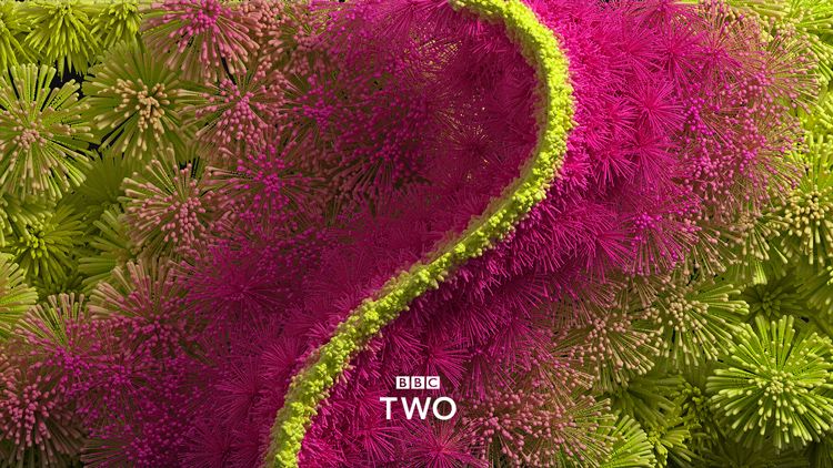 MunchStudio's tweet image. Check out BBC Two new idents #rebrand  buff.ly/2xWBTJs