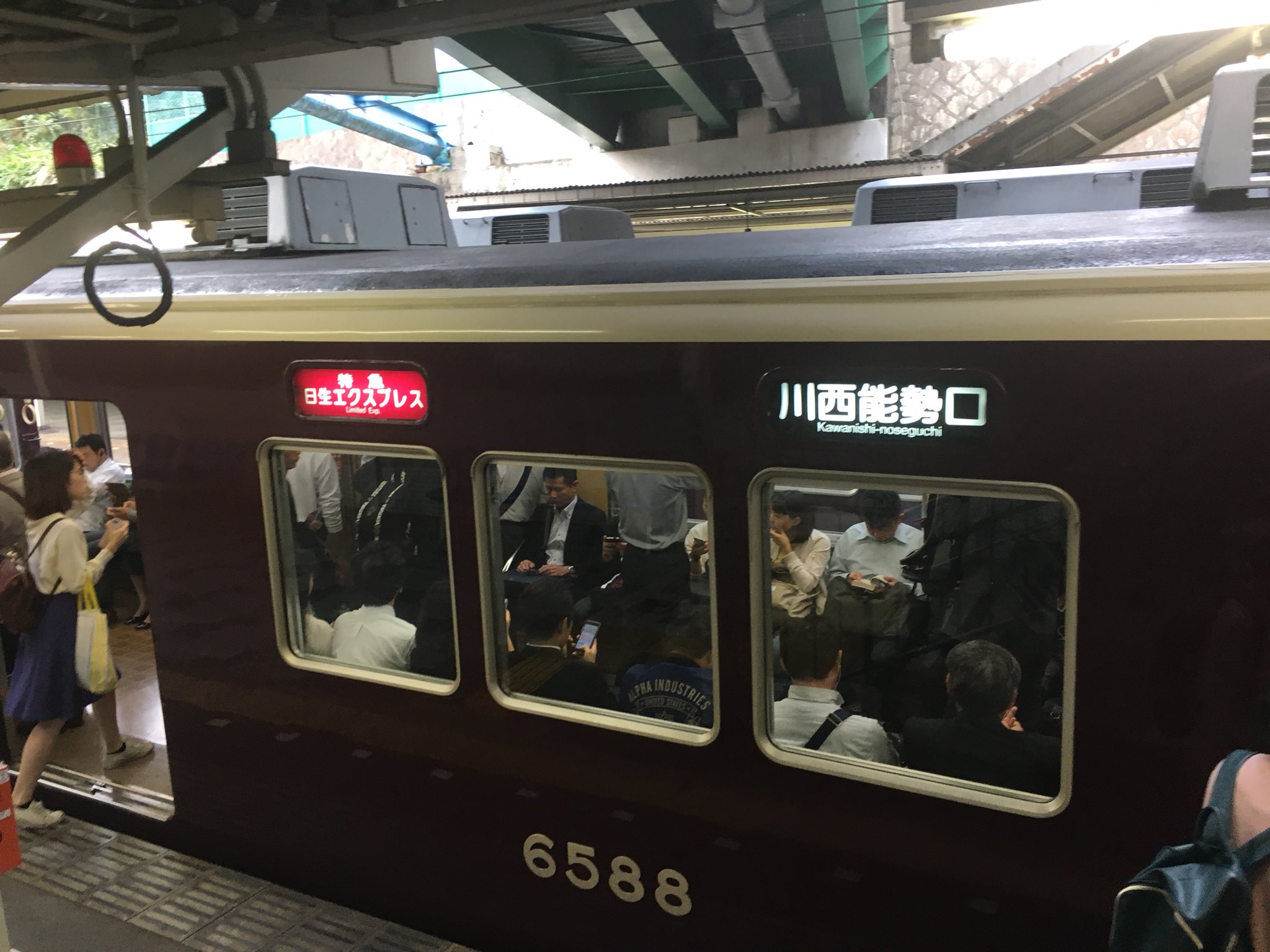 えぬコロ on X: えぬコロ on X:
