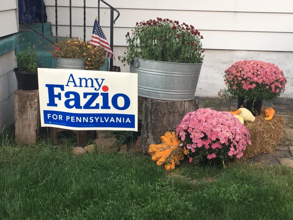 AmyFazio4PA's tweet photo. #AmyFazio4PA Yard signs are all over #Butlercounty and #BeaverCounty #Pennsylvania.  If any locals want a sign to show support, send a DM. https://t.co/3VlRdW2zoN