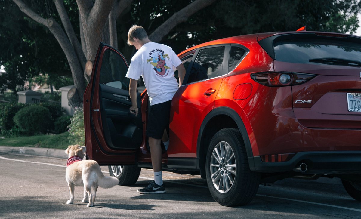 AutoGravity's tweet photo. Good boys get front seat privileges. Cruise in your new ride with #AutoGravity today. Download the app and see where it takes you and your furry friend next. #goodboy #ridewithus https://t.co/1Emph2gcmh