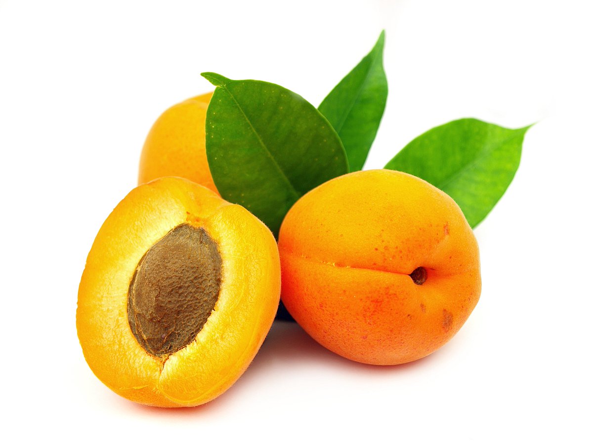 Alpstories's tweet photo. 4 #health &amp; #beauty benefits of these 4 #organic healers:

1 #Almond reduces breast #cancer up to 4 times.

2 #AloeVera extremely effective against #AntiAging.

3: #Rosemary is a #brain protector.

4: #Apricots are well-known for healing damaged skin.

Get them @Alpstories! https://t.co/z1kPDVYaGg